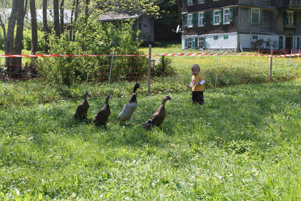 Ferienwohnungen Sutter Au (Vorarlberg) Ngoại thất bức ảnh